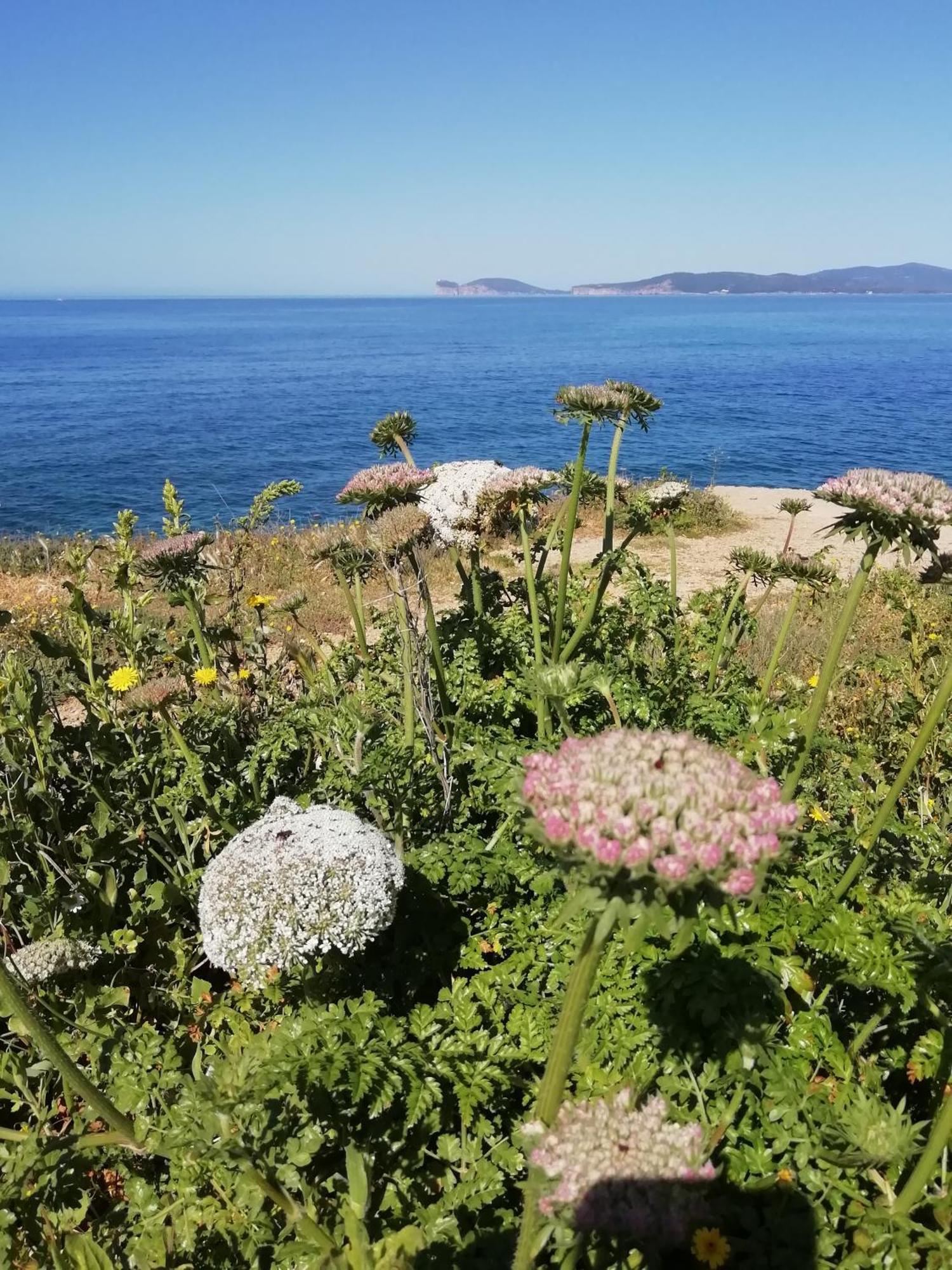 El Matorral Bed & Breakfast Alghero Exterior photo